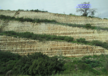 Geographie Israel 
